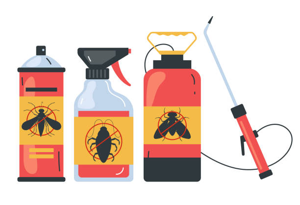 Best Ant Control Services  in Skidmore, TX