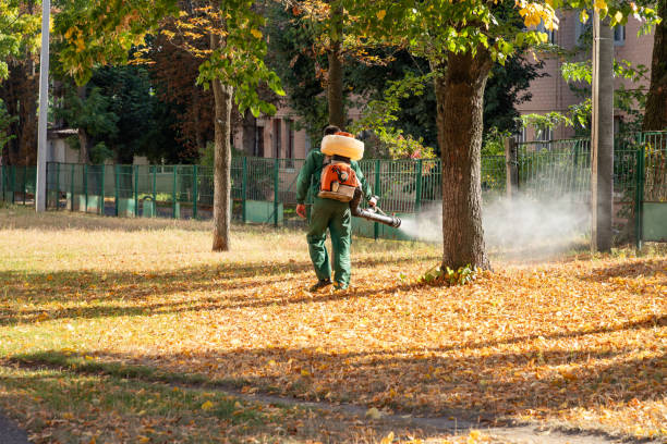Best Pest Control Treatment  in Skidmore, TX