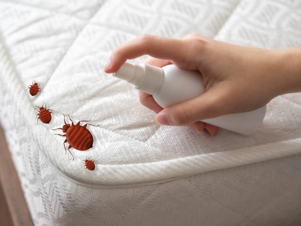 Best Ant Control Services  in Skidmore, TX
